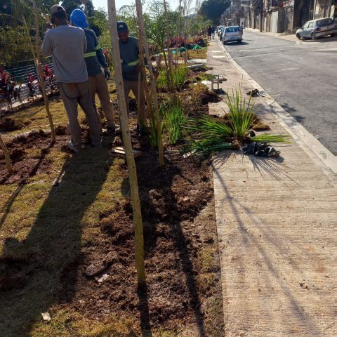 WhatsApp Image 2025-02-23 at 19.47.54