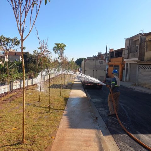 WhatsApp Image 2025-02-23 at 19.47.55