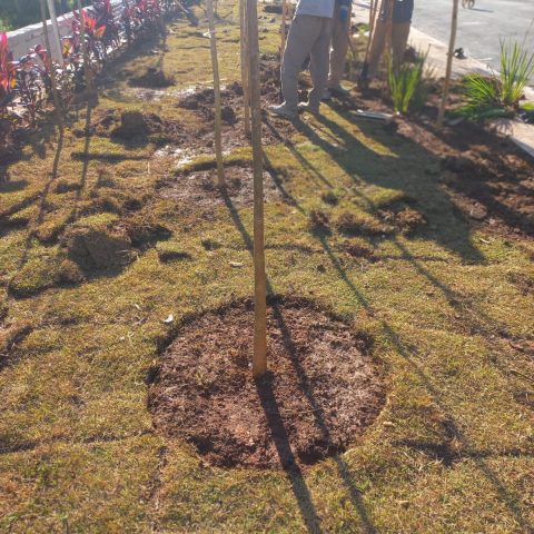 WhatsApp Image 2025-02-23 at 19.49.22